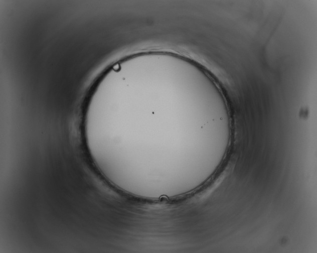 X0000102821502200809021238