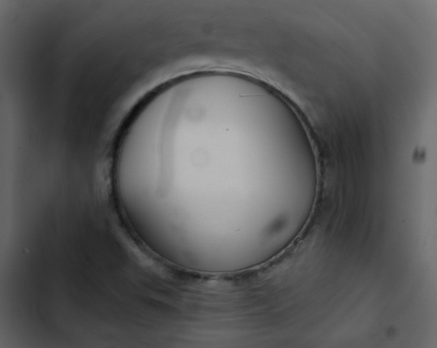X0000102821503200809021238