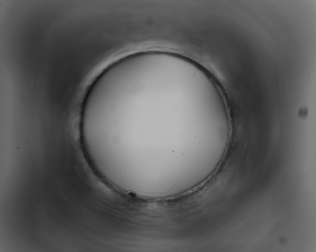 X0000102821504200809021238