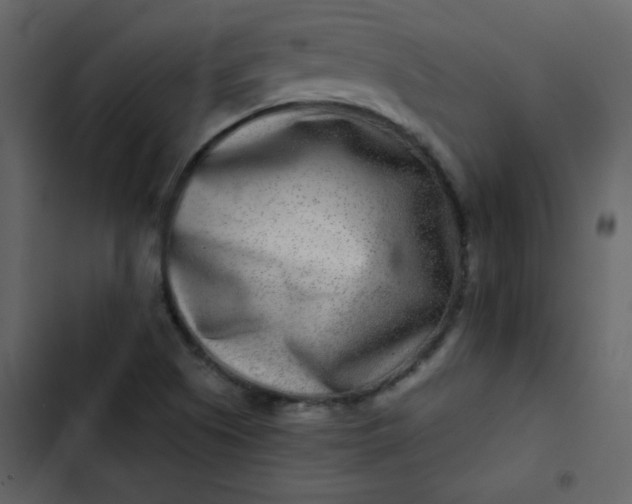 X0000102821505200809021238
