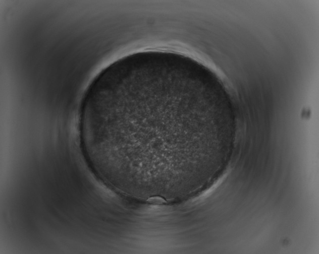 X0000102821506200809021238