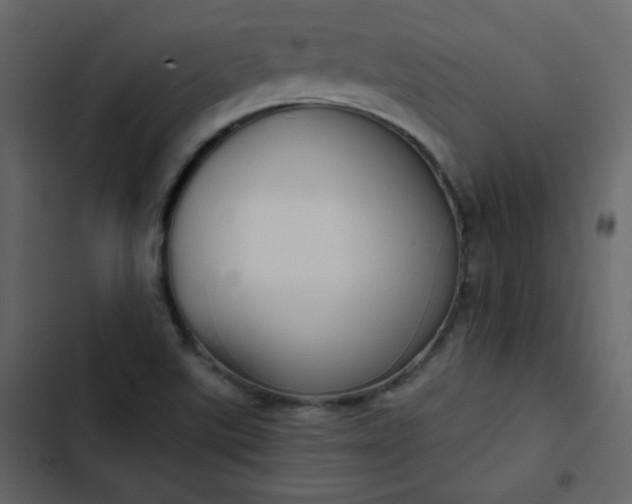X0000102821507200809021238
