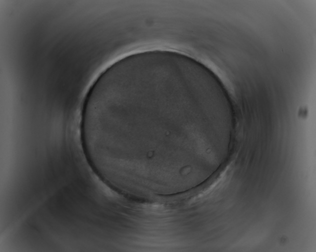 X0000102821508200809021238