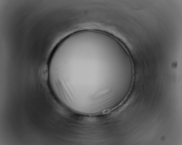 X0000102821509200809021238