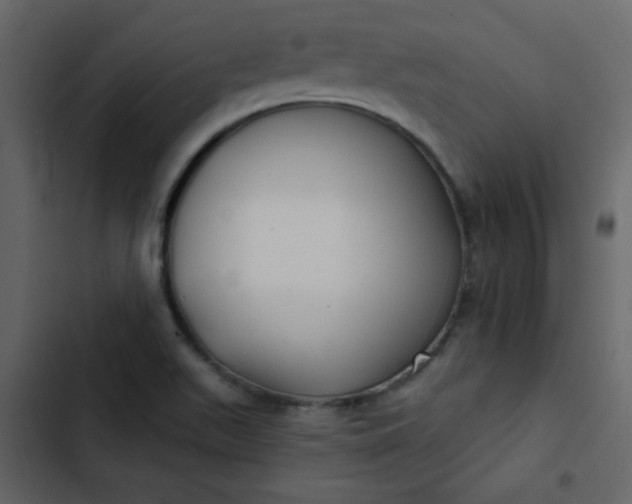 X0000102821511200809021238