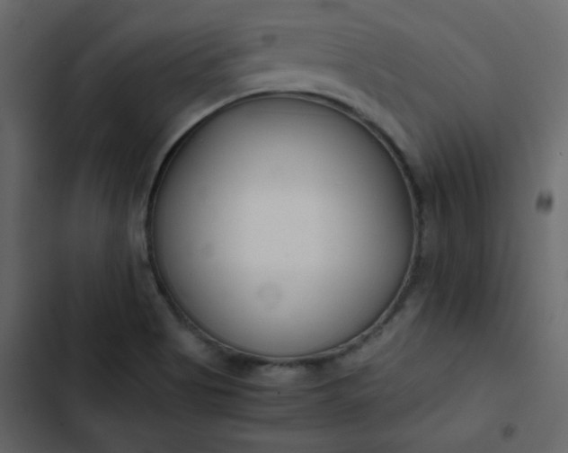 X0000102821513200809021238