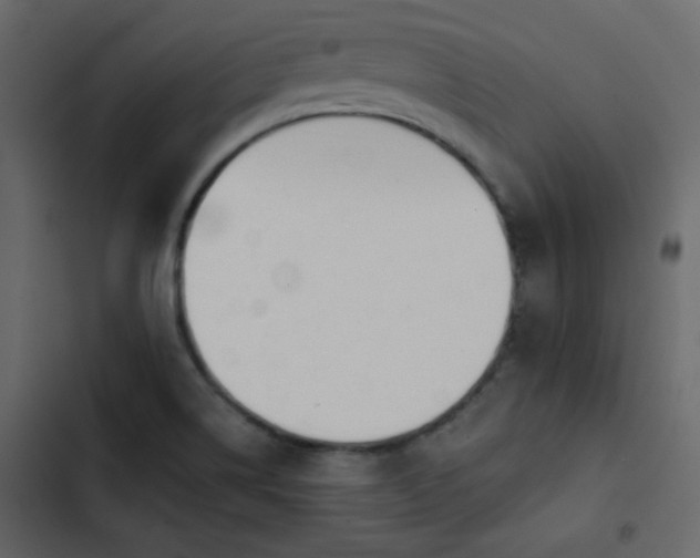 X0000102821514200809021238