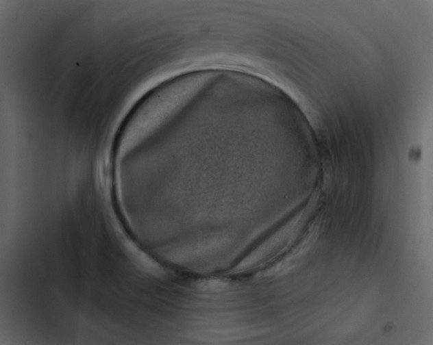 X0000102821515200809021238