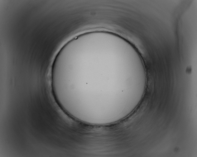 X0000102821516200809021239
