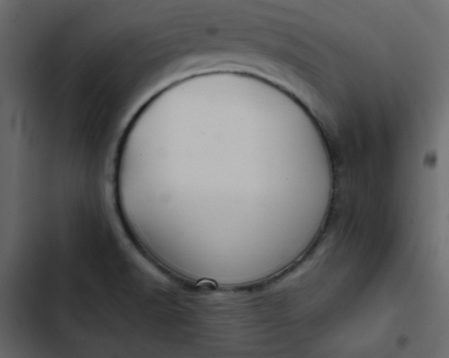 X0000102821518200809021239