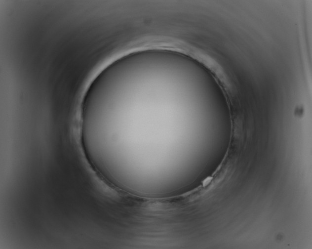 X0000102821520200809021239