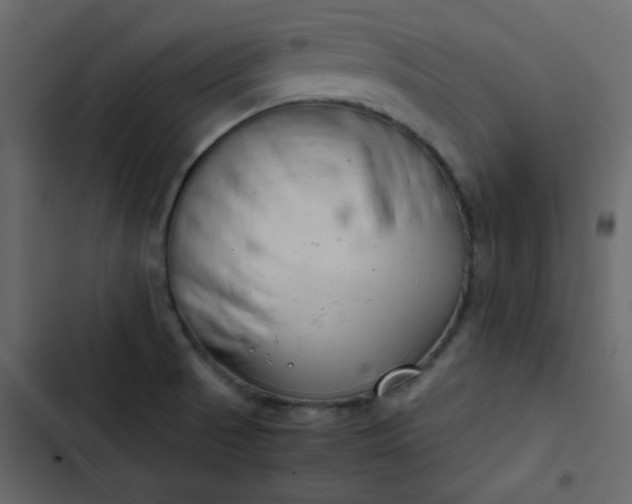 X0000102821521200809021239
