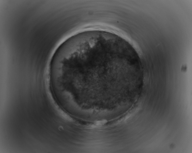 X0000102821522200809021239