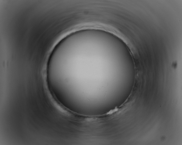 X0000102821523200809021239