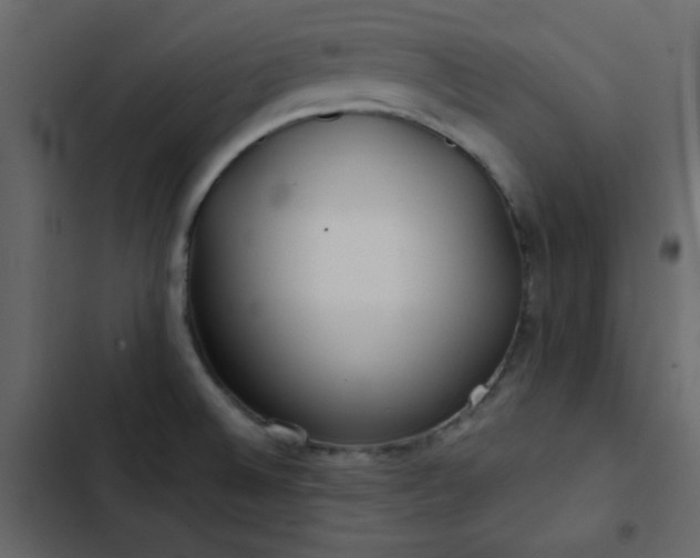 X0000102821524200809021239