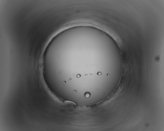 X0000102821526200809021239