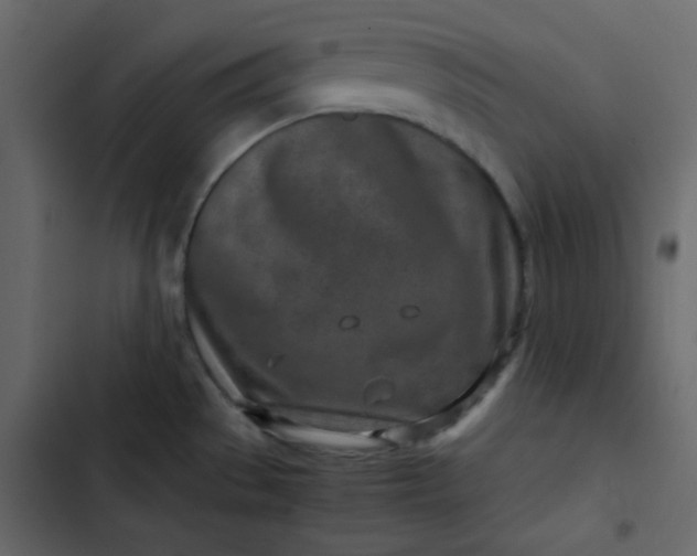 X0000102821529200809021239