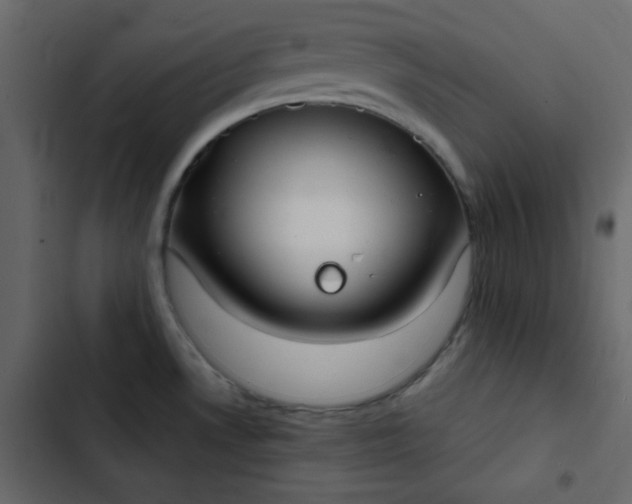 X0000102821530200809021239