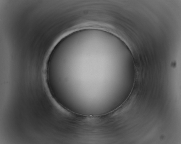 X0000102821531200809021239