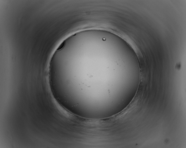 X0000102821532200809021239