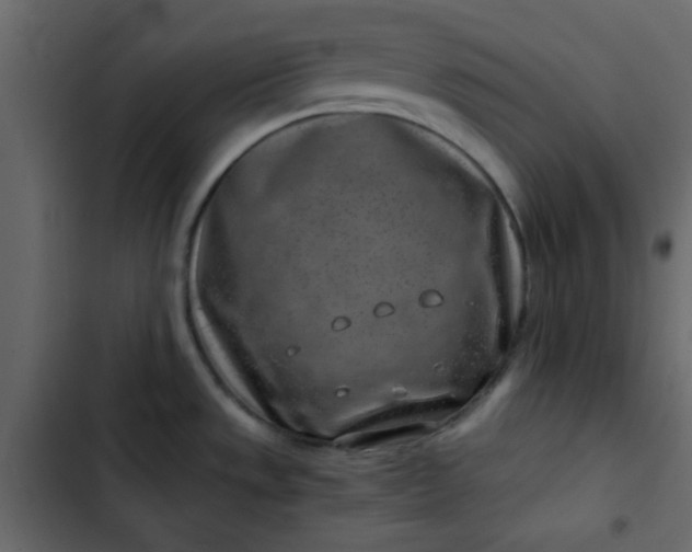 X0000102821533200809021239
