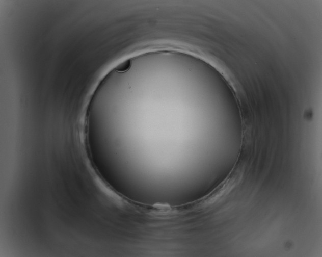 X0000102821535200809021239