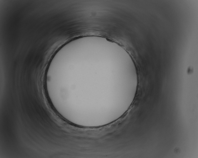 X0000102820001200809081142