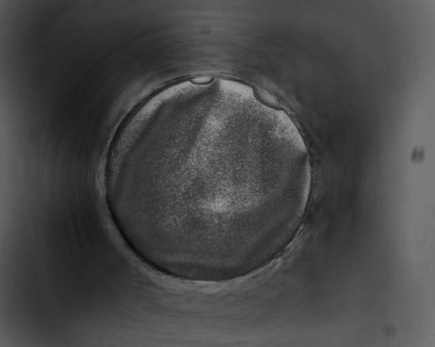 X0000102820002200809081142