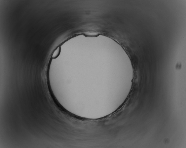 X0000102820004200809081142