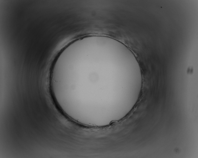 X0000102820005200809081142