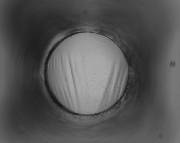 X0000102820006200809081142