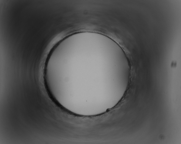 X0000102820007200809081142