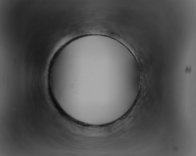 X0000102820008200809081142