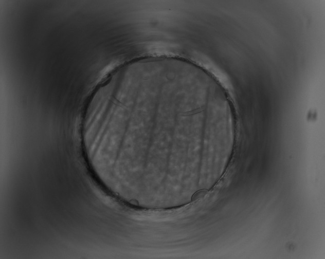 X0000102820009200809081142