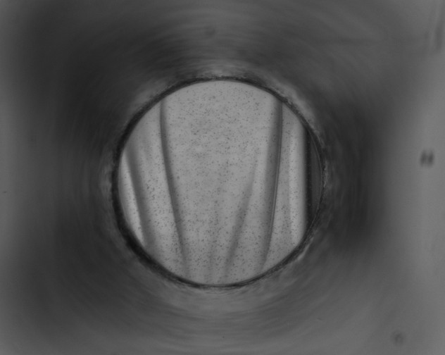 X0000102820010200809081142