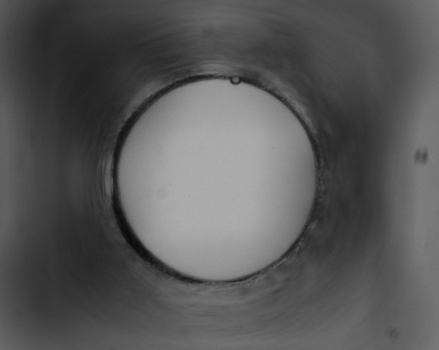 X0000102820011200809081142