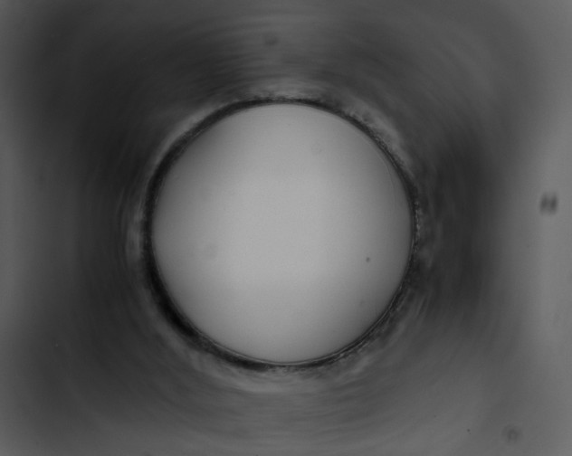 X0000102820012200809081142