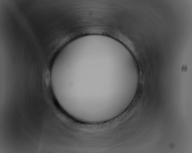 X0000102820013200809081142