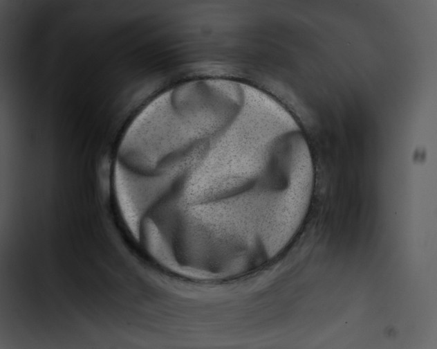 X0000102820014200809081142