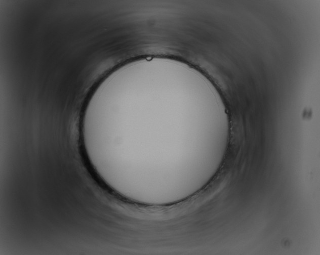 X0000102820015200809081142