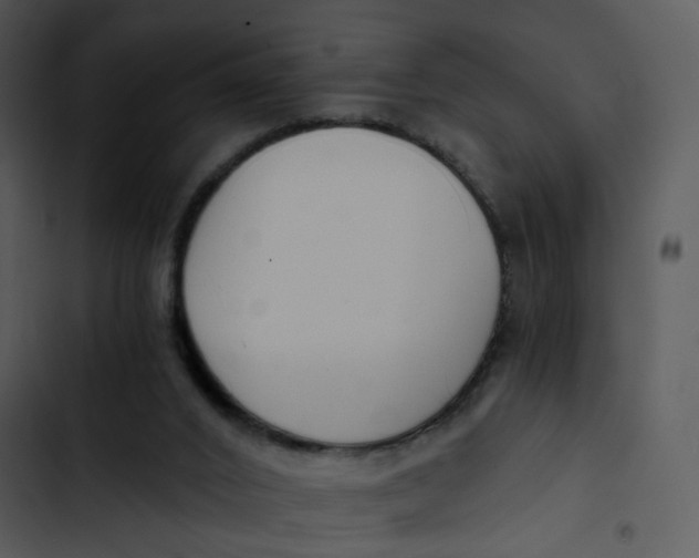 X0000102820016200809081142