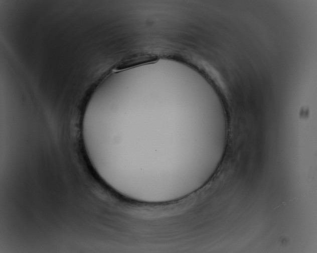 X0000102820017200809081142