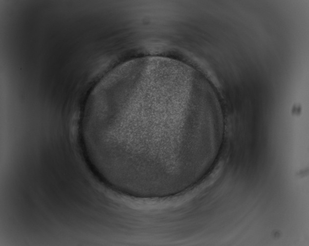 X0000102820018200809081142