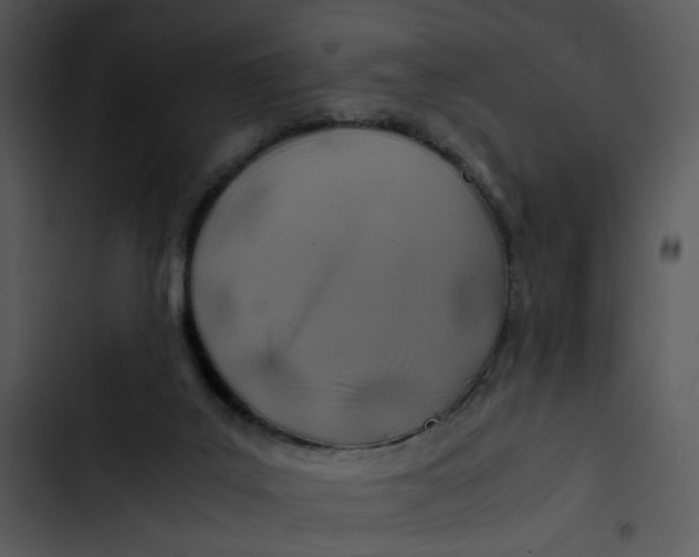 X0000102820019200809081142