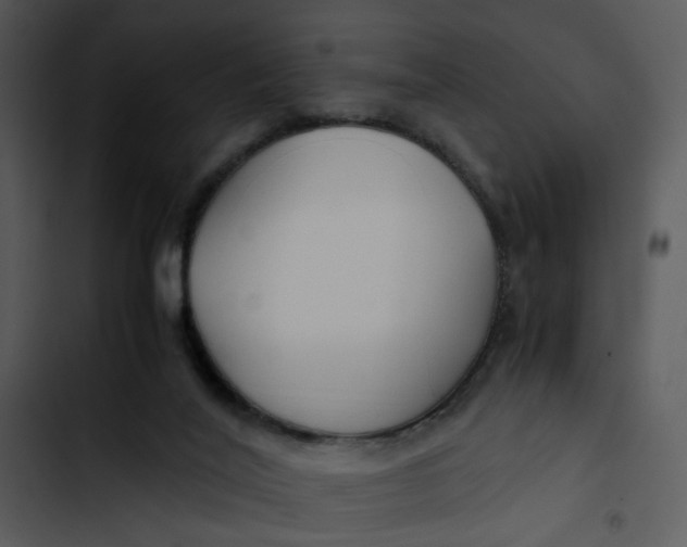 X0000102820020200809081142