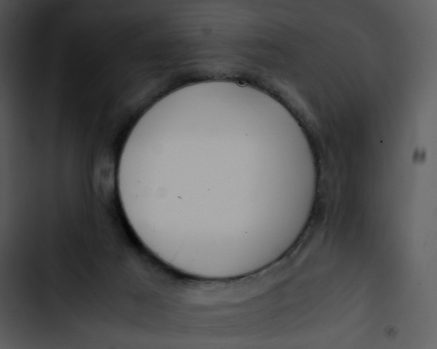 X0000102820021200809081142