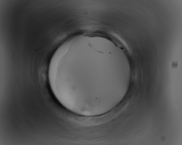 X0000102820023200809081142