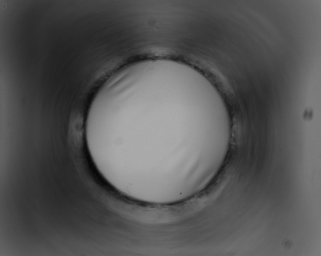 X0000102820024200809081142