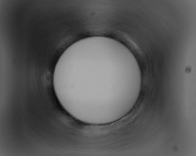 X0000102820025200809081142