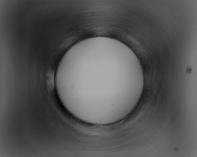 X0000102820028200809081142